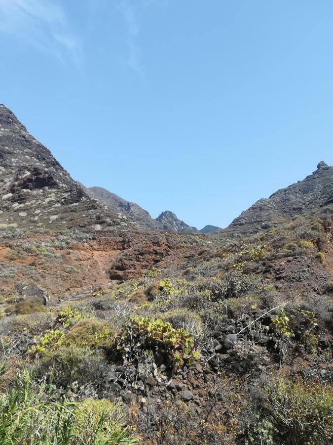 Tenerife Santa Cruz de Tenerife Dış mekan fotoğraf